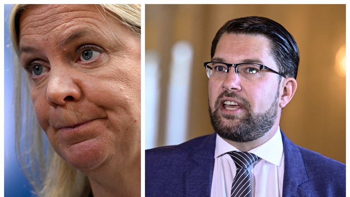 Sverigedemokraterna höll pressträff om Socialdemokraterna.